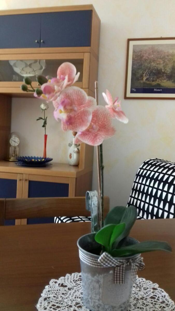 באוונו Villa Ramella מראה חיצוני תמונה